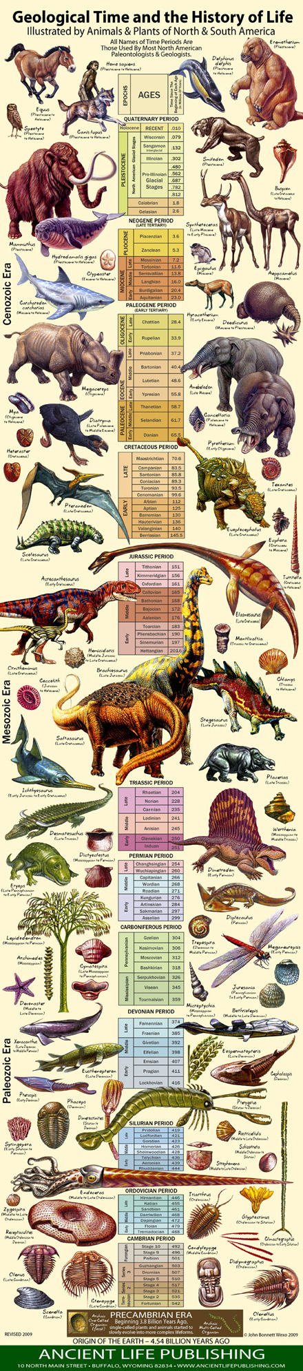 24 x 36 Inches Eras of Life Geological Time Scale Poster 